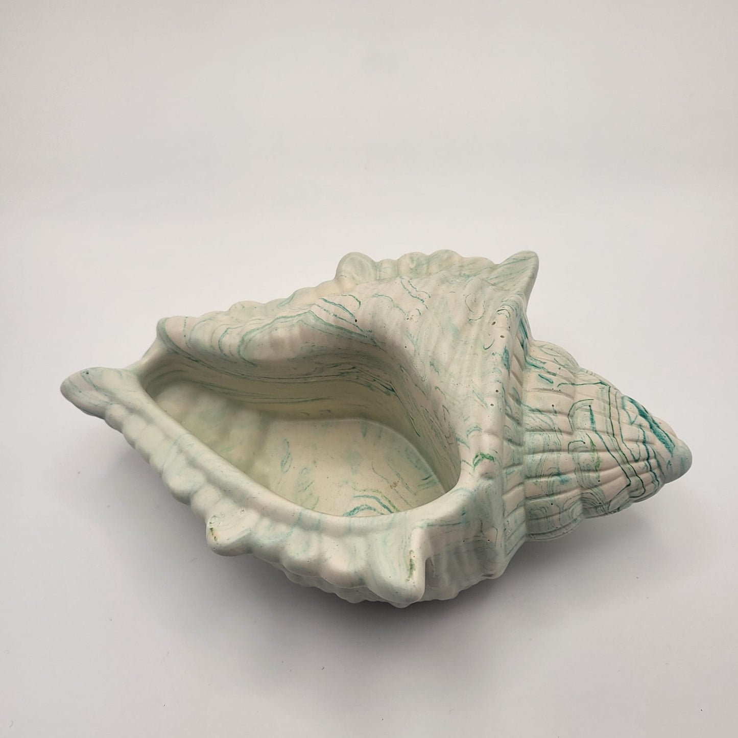 Conch Shell