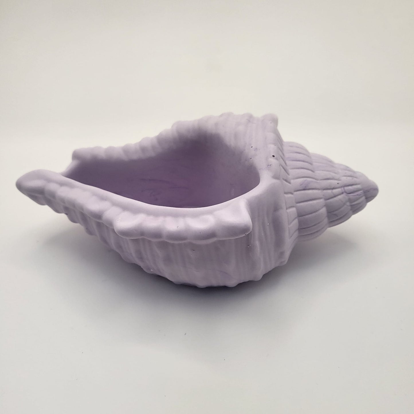 Conch Shell